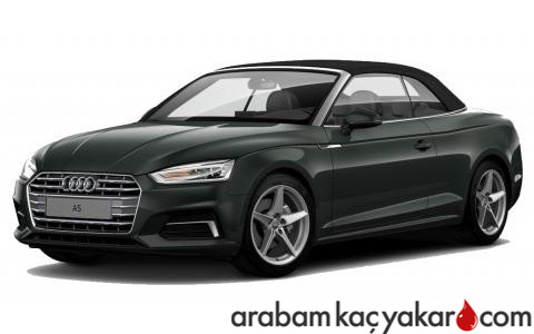 A5 Cabriolet 2.0 TDI