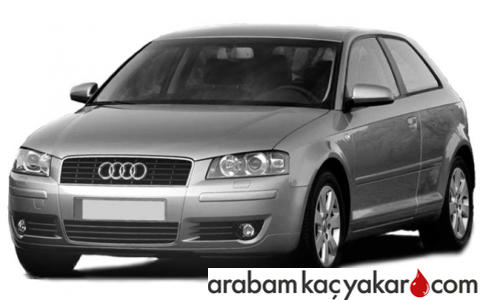 A3 8P