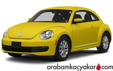 Beetle