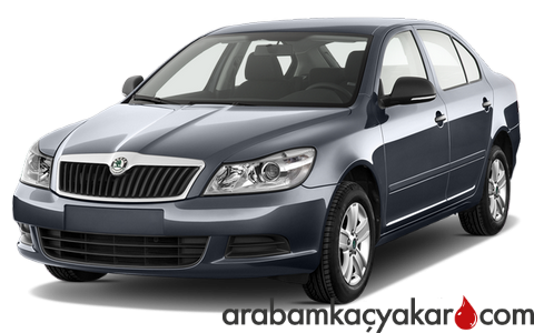 Octavia 2 RS