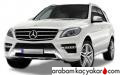 ML 250 BlueTEC